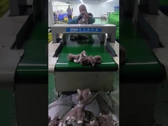 Hiệu ứng cảm ứng kỹ thuật số cho ngành dệt may