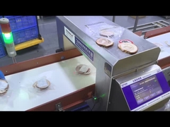 Máy vận chuyển tự động Công nghiệp chất lượng thực phẩm máy dò kim loại thiết bị an toàn tùy chỉnh OEM