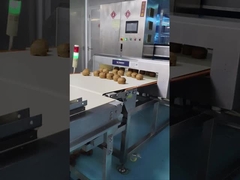 Máy dò kim loại vận chuyển tự động 0.5mm Độ nhạy thanh tra nguyên liệu thô thực phẩm / mỹ phẩm