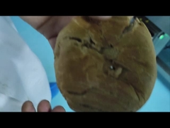 Máy phát hiện kim loại công nghiệp máy vận chuyển tự động cho máy an toàn thực phẩm tùy chỉnh OEM nhà sản xuất