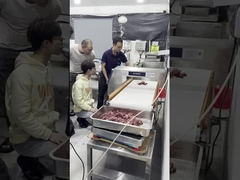 Máy dò kim loại cấp thực phẩm