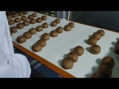 Máy dò kim loại độ phân giải 0.01g cho chế biến thực phẩm bảo vệ sản phẩm của bạn khỏi ô nhiễm kim loại