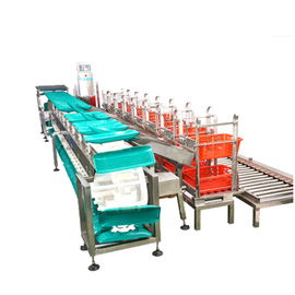 Băng tải kiểm tra trọng lượng chính xác cao để đóng gói máy cân